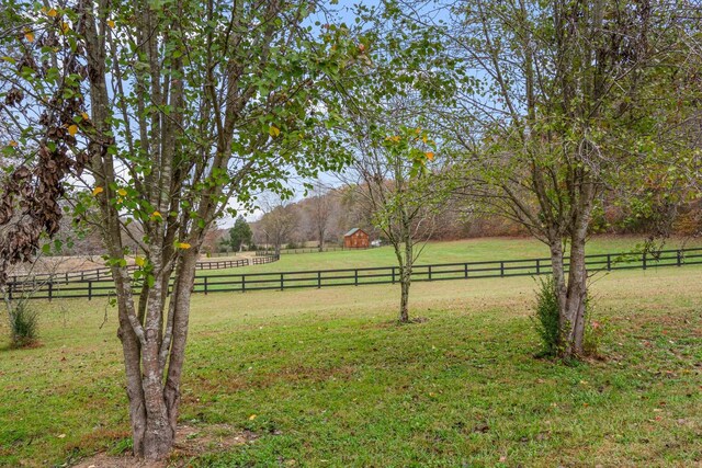 1055 Wades Branch Rd, Centerville, TN 37033 - view of yard with a view of rural / pastoral area