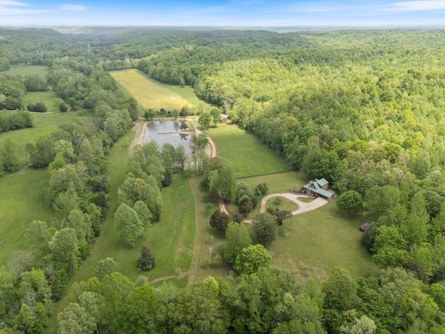 1055 Wades Branch Rd, Centerville, TN 37033 - view of rural area featuring a heavily wooded area and a large body of water