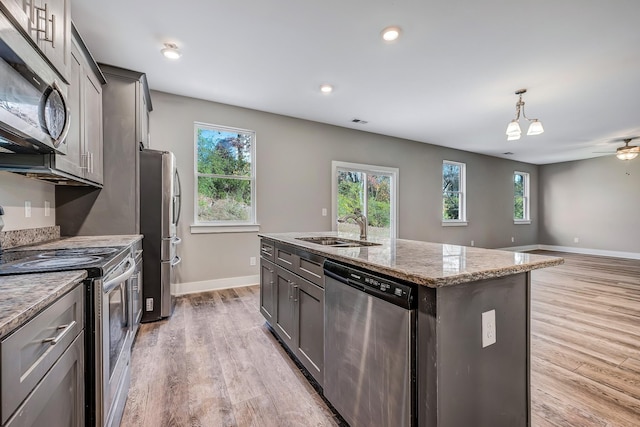 kitchen with appliances with stainless steel finishes, light hardwood / wood-style flooring, a healthy amount of sunlight, and an island with sink