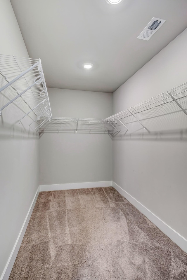 spacious closet with carpet