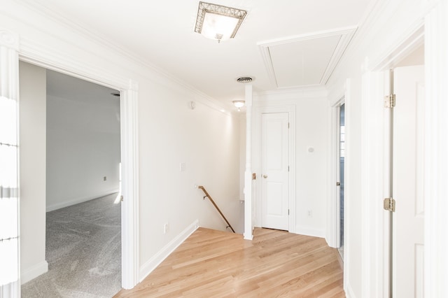 hall featuring wood-type flooring and crown molding