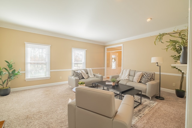 carpeted living room with ornamental molding