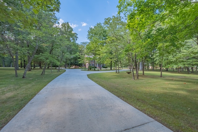 view of community with a yard