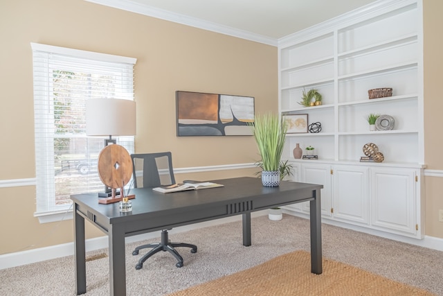 carpeted office featuring ornamental molding