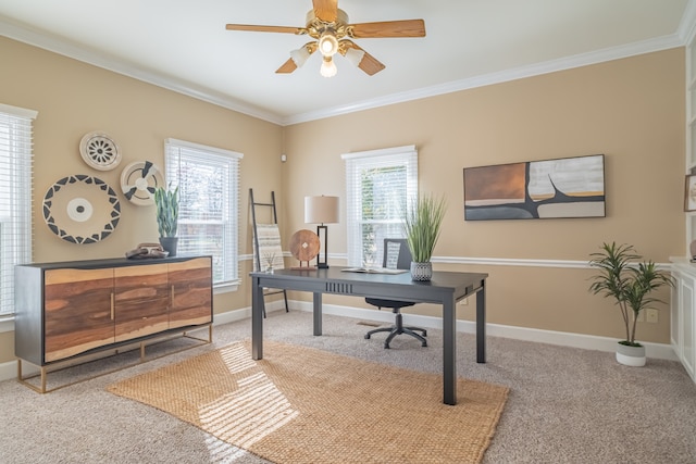 office with ceiling fan, carpet, and ornamental molding