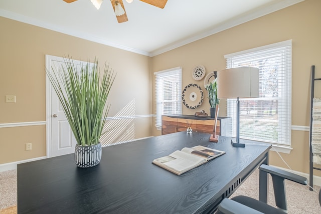 carpeted office space with a wealth of natural light, ceiling fan, and ornamental molding