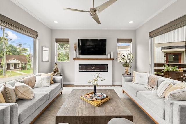 living room with ceiling fan, ornamental molding, and dark wood-type flooring