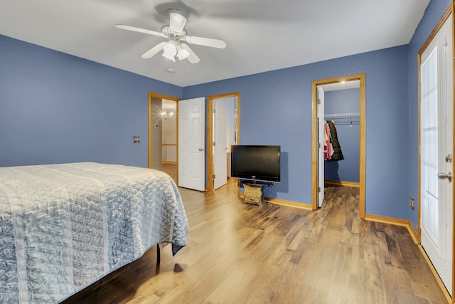 bedroom with a closet, a walk in closet, hardwood / wood-style flooring, and ceiling fan