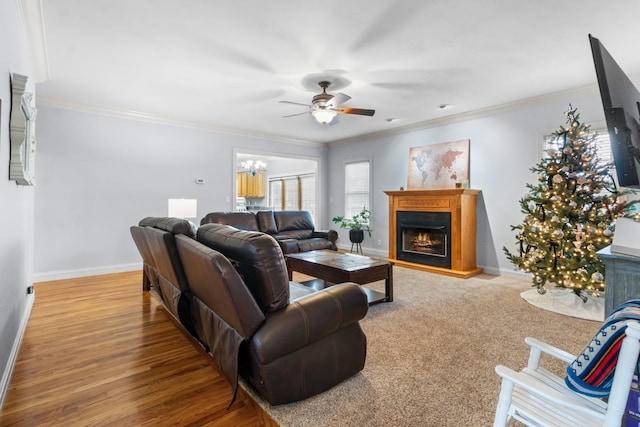 living room with ceiling fan with notable chandelier, hardwood / wood-style flooring, and crown molding