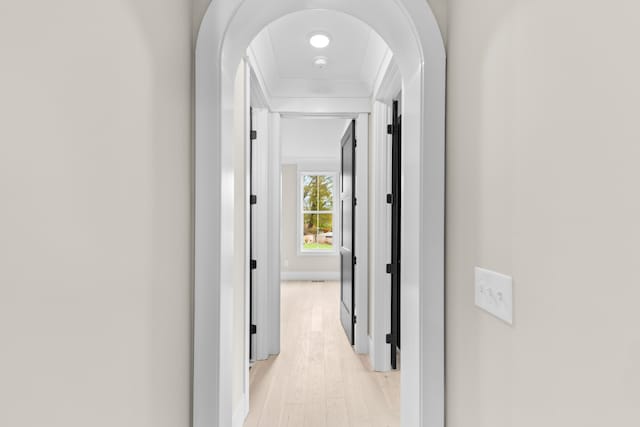 hallway with light hardwood / wood-style floors and crown molding