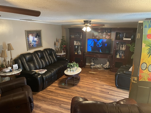 living room featuring hardwood / wood-style floors and a textured ceiling