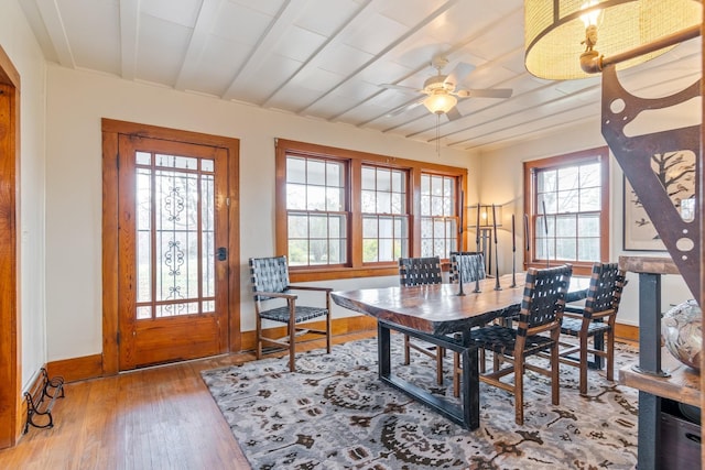 dining room with ceiling fan and wood-type flooring