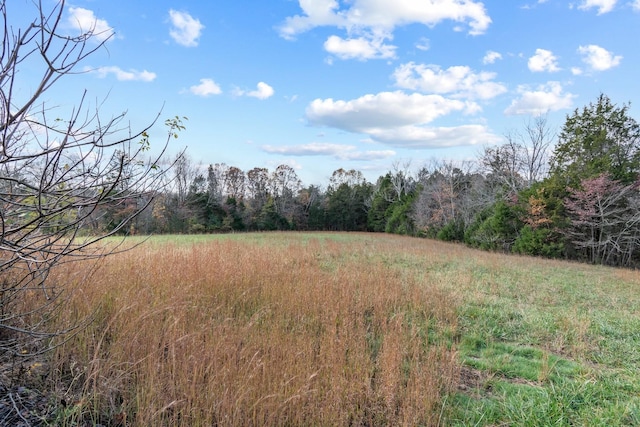 view of nature