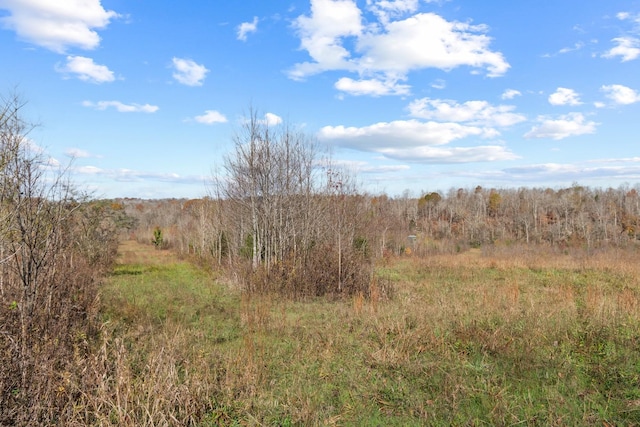 view of landscape