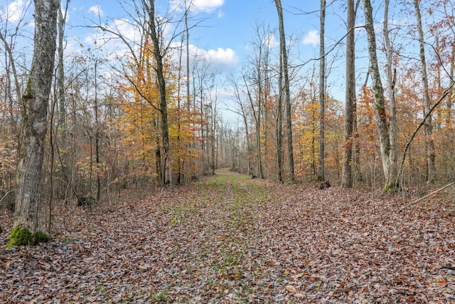 view of landscape