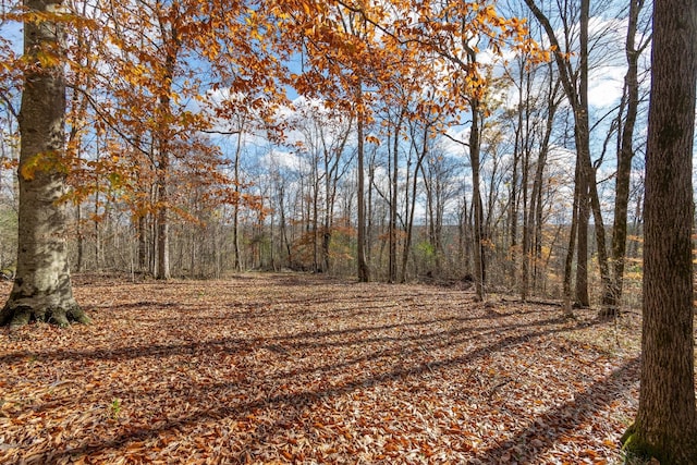 view of nature