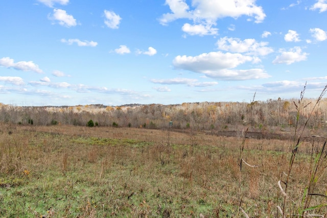 view of landscape with a rural view