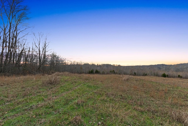 view of nature at dusk