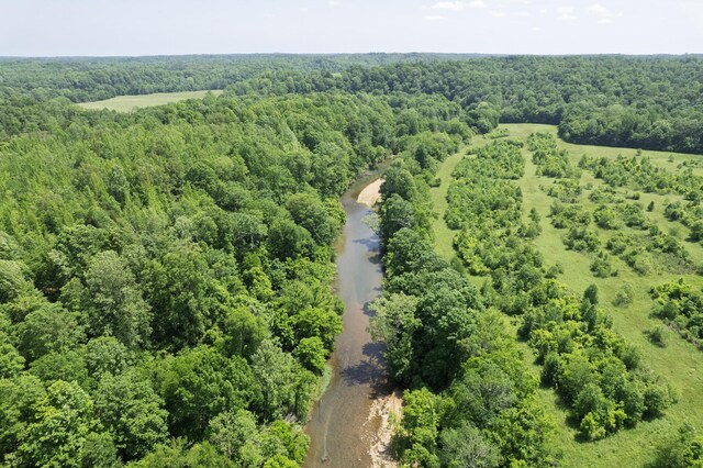 1125 Dawson Rd, White Bluff, TN 37187 - photo 5