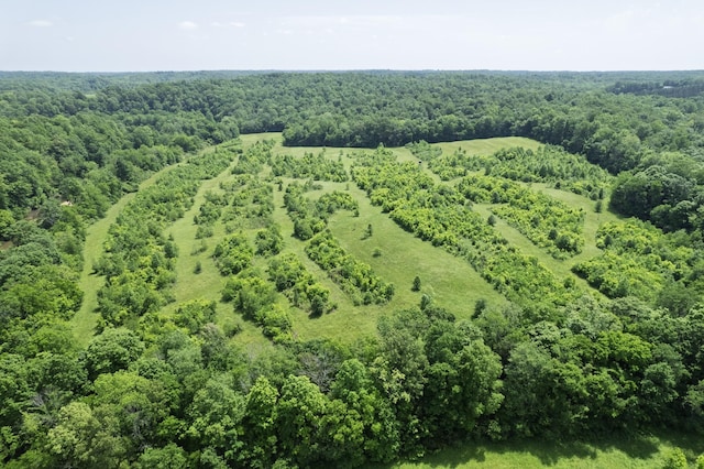1125 Dawson Rd, White Bluff, TN 37187 - photo 3