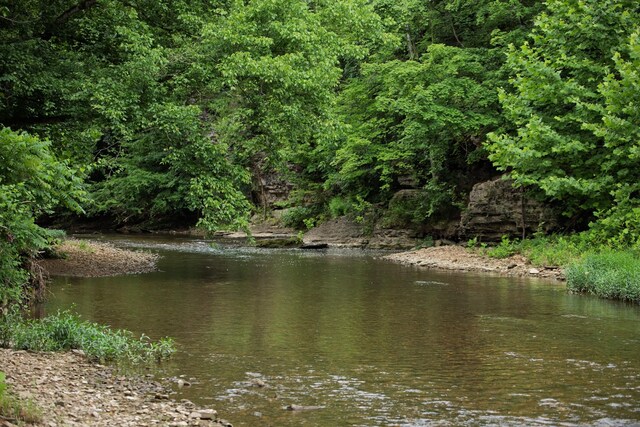 1125 Dawson Rd, White Bluff, TN 37187 - photo 42