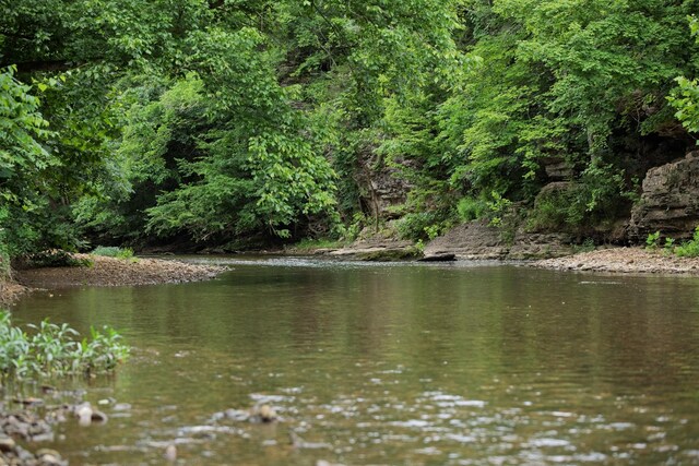 1125 Dawson Rd, White Bluff, TN 37187 - photo 40