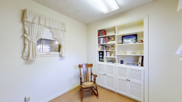 living area featuring a textured ceiling