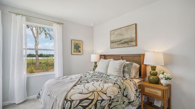 bedroom with carpet flooring and multiple windows