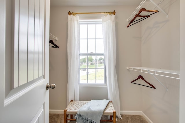 spacious closet featuring carpet