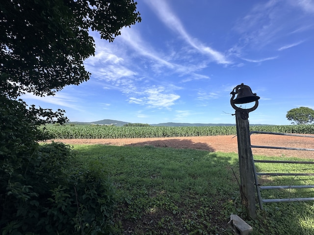 view of yard with a rural view