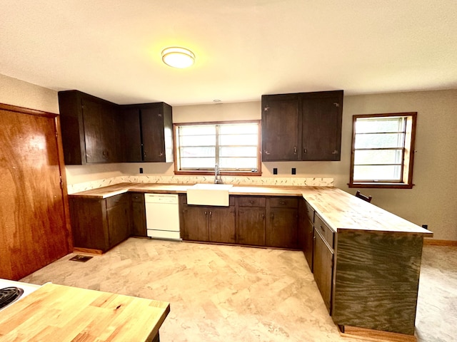 kitchen with sink, white dishwasher, and dark brown cabinets