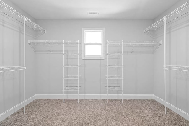 walk in closet with carpet floors