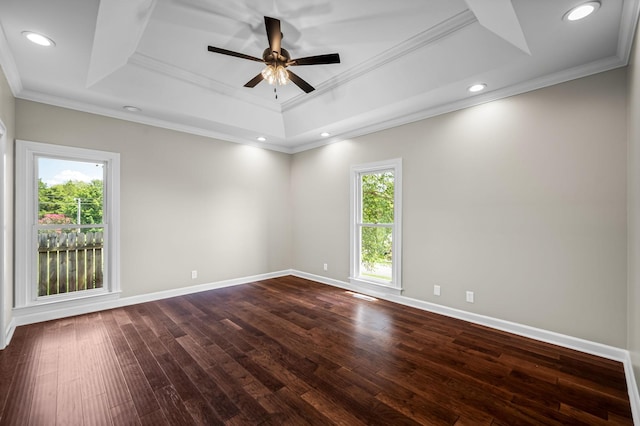 unfurnished room featuring plenty of natural light, ornamental molding, and a tray ceiling