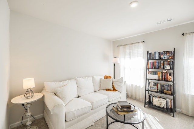 living room featuring carpet