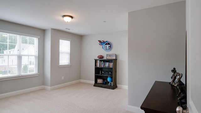 interior space with light colored carpet