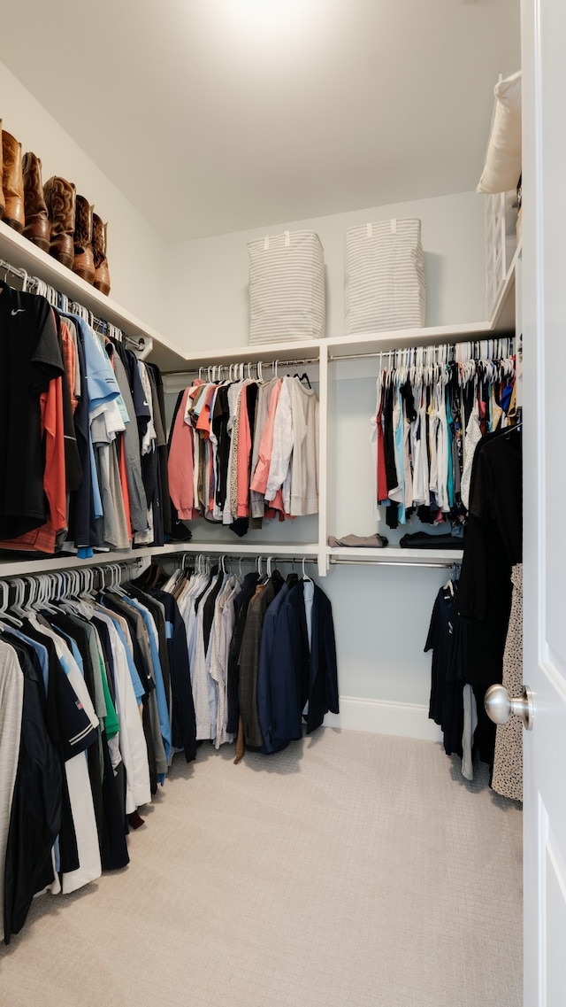 walk in closet featuring carpet floors