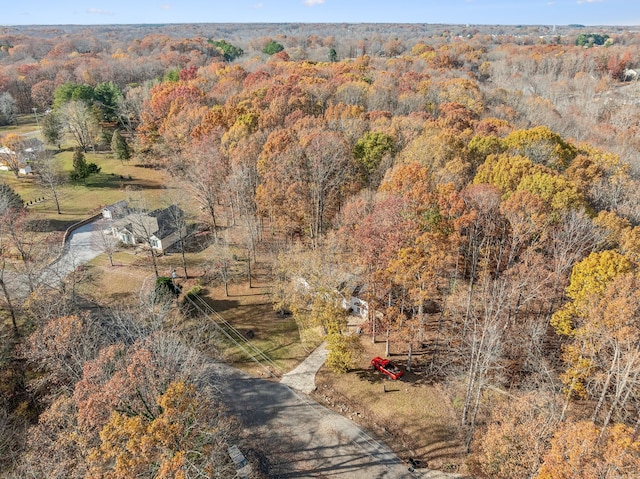 bird's eye view