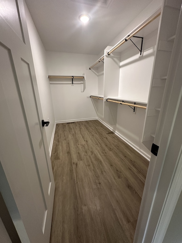 walk in closet featuring dark hardwood / wood-style floors