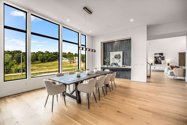 dining space with light hardwood / wood-style floors