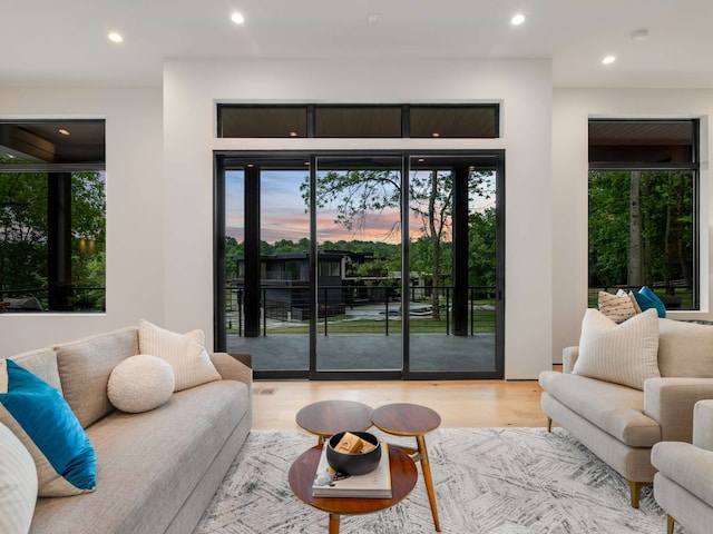 living room with light wood-type flooring and plenty of natural light