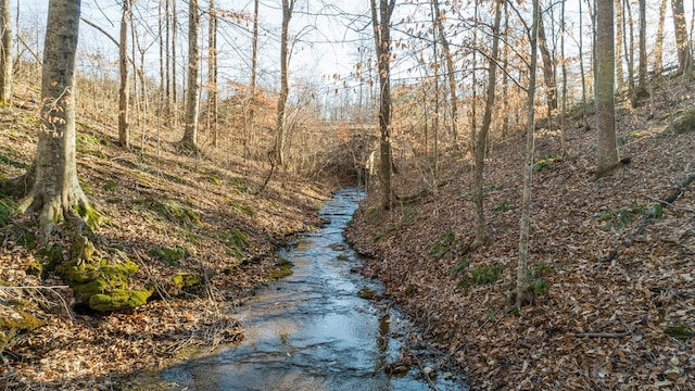 3 Mobleys Cut Rd, Franklin, TN 37064