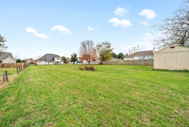 view of yard featuring a storage shed