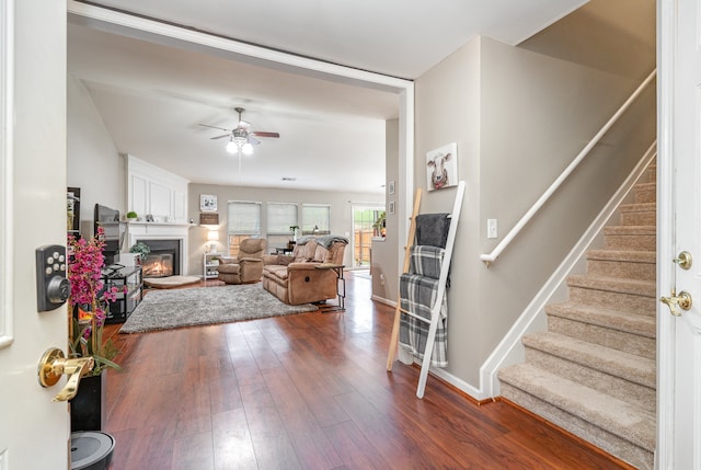 living room with a large fireplace, dark hardwood / wood-style floors, and ceiling fan