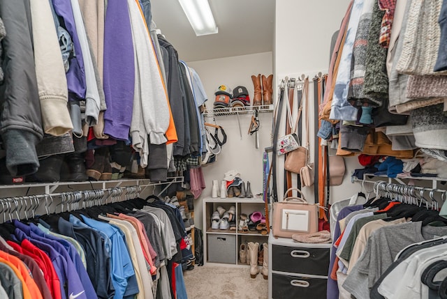 spacious closet featuring carpet floors