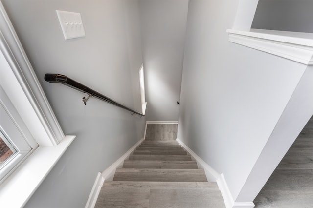 staircase with wood-type flooring