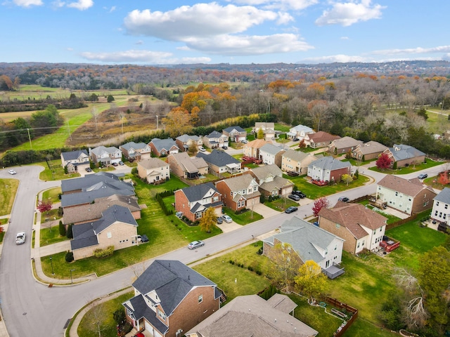 bird's eye view