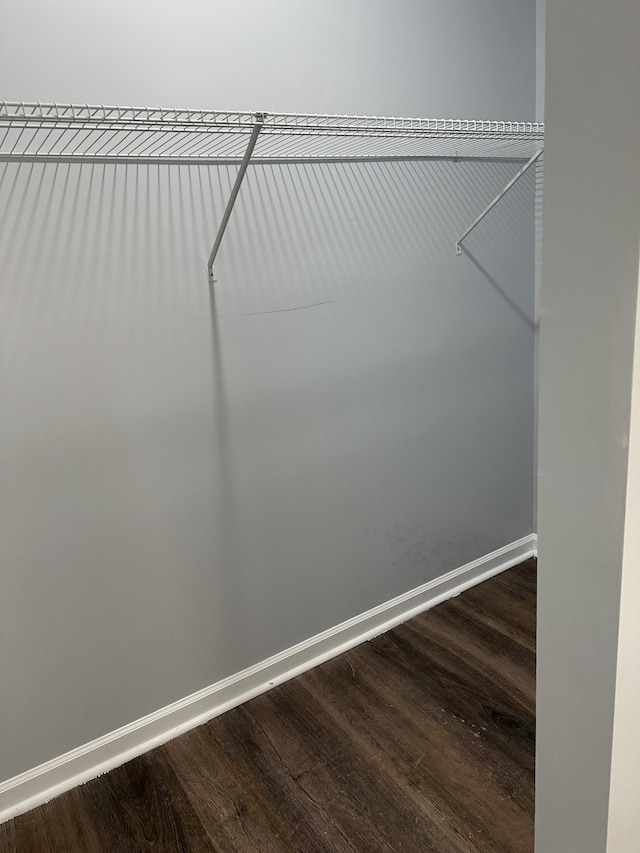 spacious closet featuring hardwood / wood-style flooring