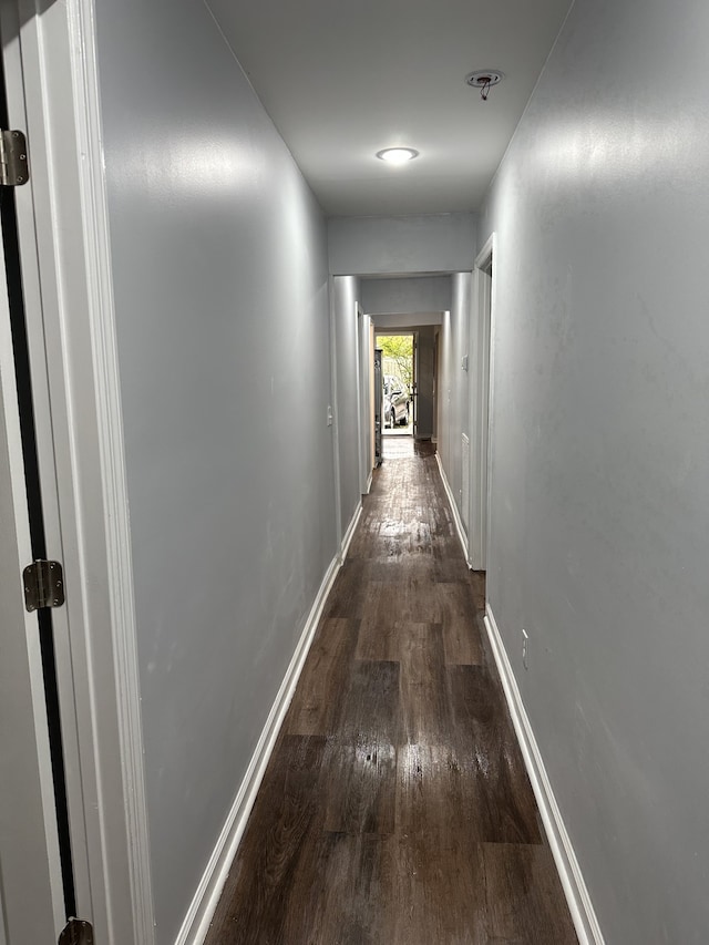 corridor with dark wood-type flooring