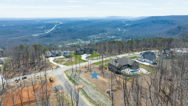 birds eye view of property featuring a mountain view