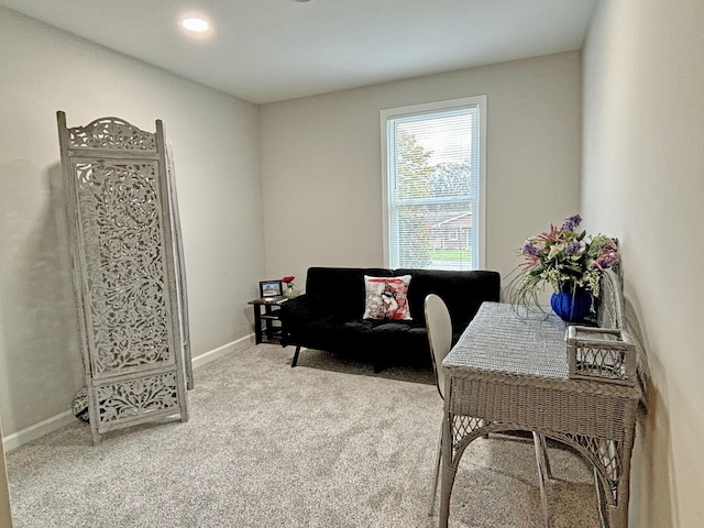 view of carpeted home office